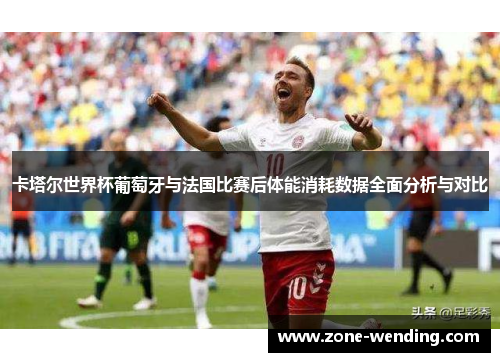 卡塔尔世界杯葡萄牙与法国比赛后体能消耗数据全面分析与对比