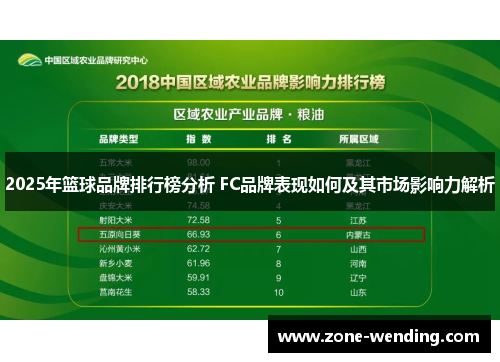 2025年篮球品牌排行榜分析 FC品牌表现如何及其市场影响力解析