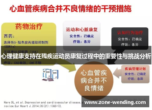 心理健康支持在残疾运动员康复过程中的重要性与挑战分析