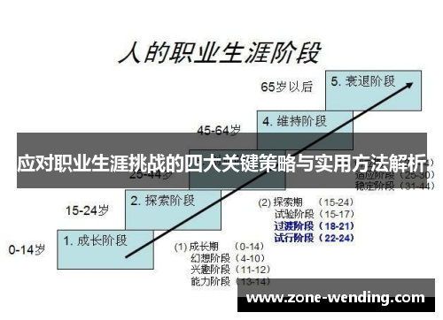 应对职业生涯挑战的四大关键策略与实用方法解析