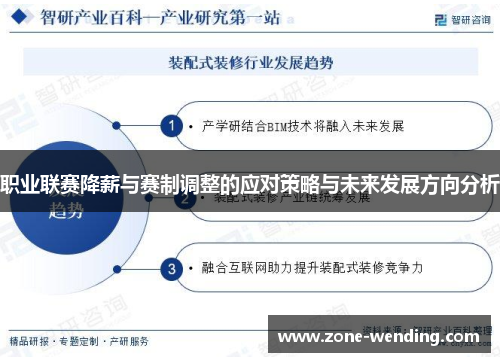 职业联赛降薪与赛制调整的应对策略与未来发展方向分析