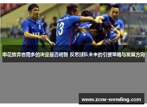 申花放弃费南多的决定是否明智 反思球队未来的引援策略与发展方向