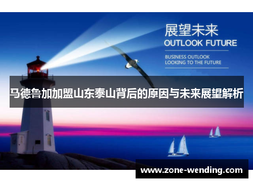 马德鲁加加盟山东泰山背后的原因与未来展望解析