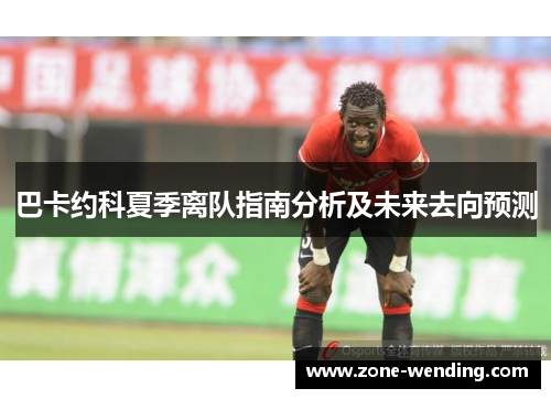 巴卡约科夏季离队指南分析及未来去向预测