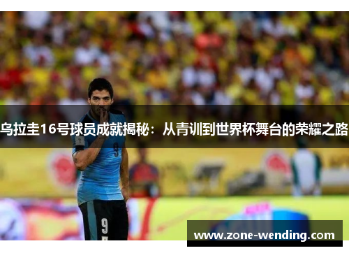 乌拉圭16号球员成就揭秘：从青训到世界杯舞台的荣耀之路